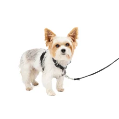 PetSafe Training|Harnesses & Leashes-3 in 1 Harness