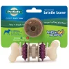 PetSafe Toys|Treat Ring Chew Toys-Busy Buddy® Bristle Bone®