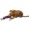 PetSafe Toys|Treat Dispensing Toys-Busy Buddy® Chuckle™