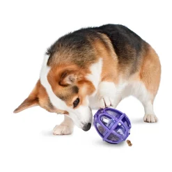 PetSafe Toys|Treat Dispensing Toys-Busy Buddy® Kibble Nibble™