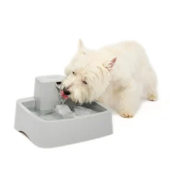 PetSafe Fountains & Feeders|Fountains-Drinkwell® 1 Gallon Pet Fountain
