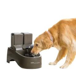 PetSafe Fountains & Feeders|Fountains-Drinkwell® Outdoor Dog Fountain