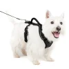 PetSafe Training|Harnesses & Leashes-EasySport Harness