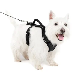 PetSafe Training|Harnesses & Leashes-EasySport Harness