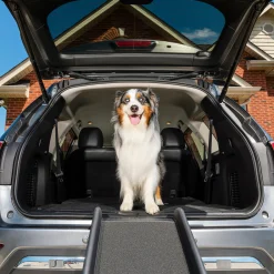 PetSafe Travel|Mobility-Happy Ride® Folding Dog Ramp