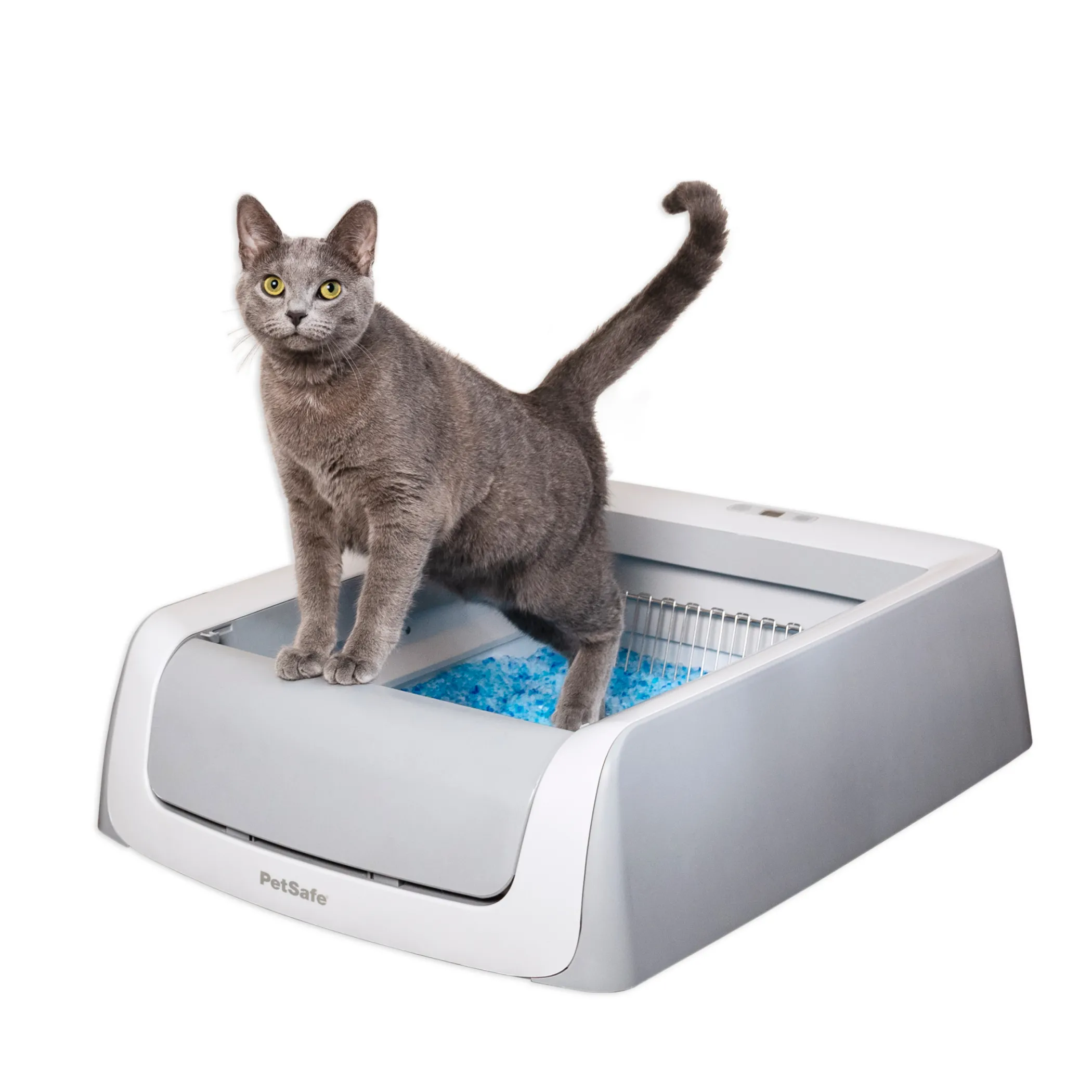 PetSafe Litter Boxes & Litter|Litter Boxes-ScoopFree® Crystal Pro Self-Cleaning Litter Box