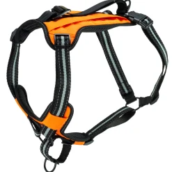 PetSafe Training|Harnesses & Leashes-Walk-Along™ Outdoor Harness